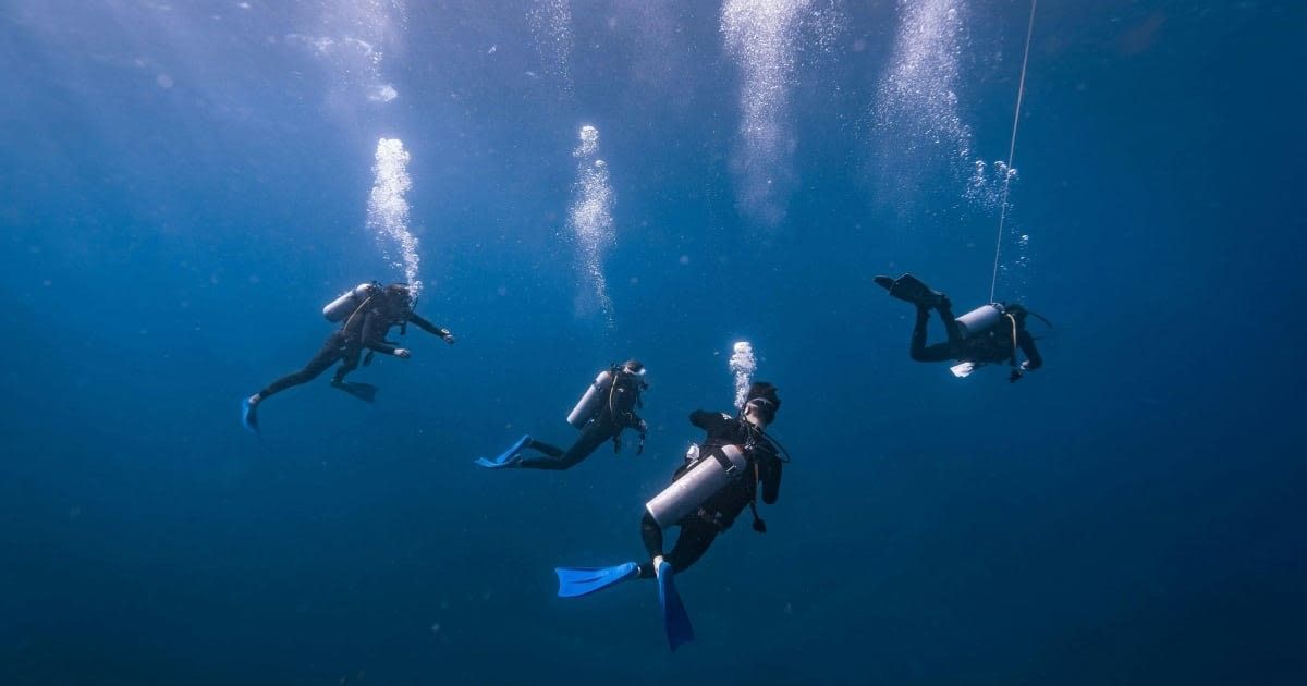 Representative Image Source: Pexels I Photo by Harvey Clements