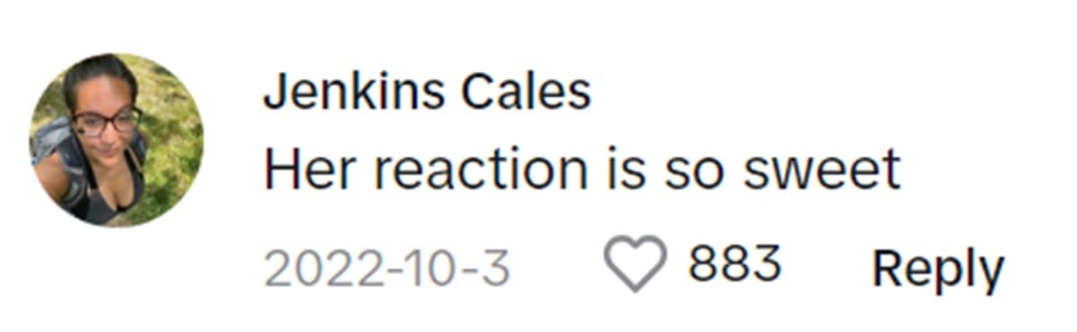 Image Source: TikTok | @jenkinscales