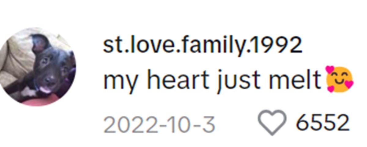 Image Source: TikTok | @st.love.family.1992