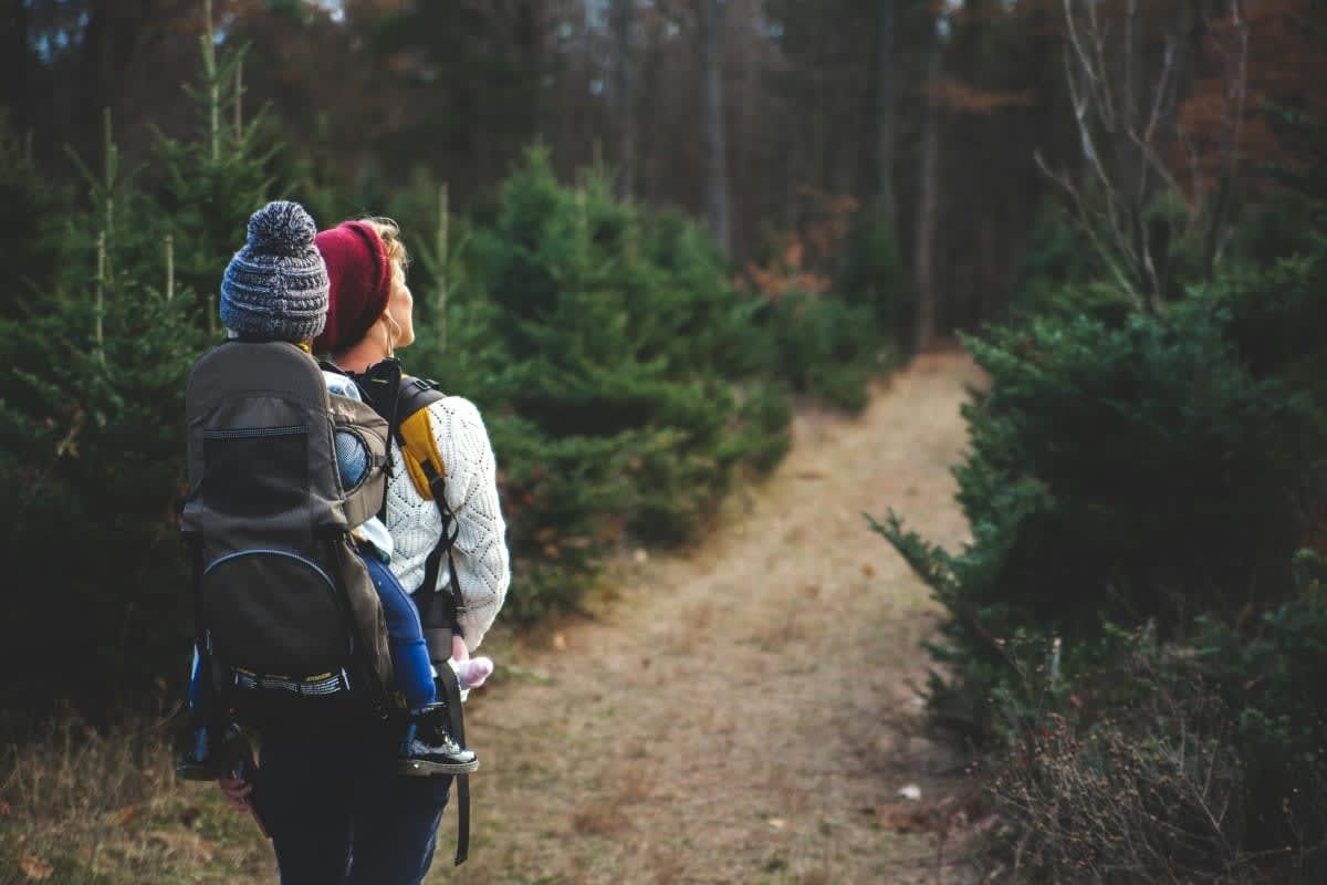 Representative Image Source: Pexels | josh willink
