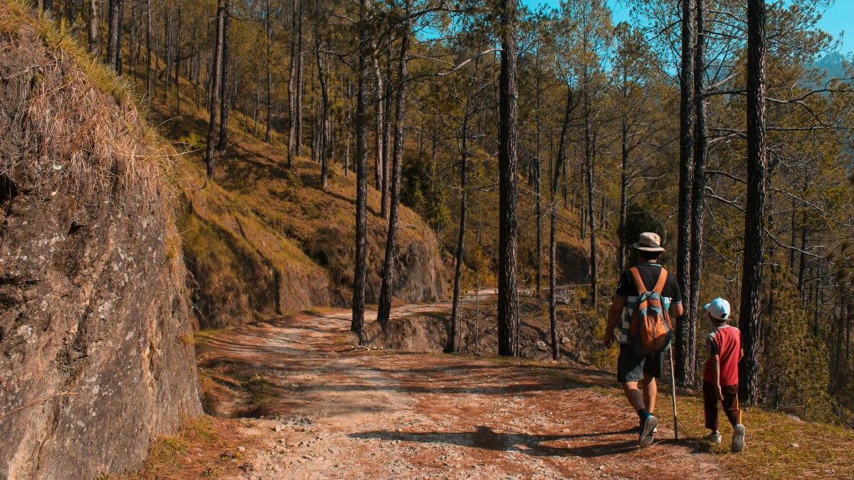 Representative Image Source: Pexels | yogendras31