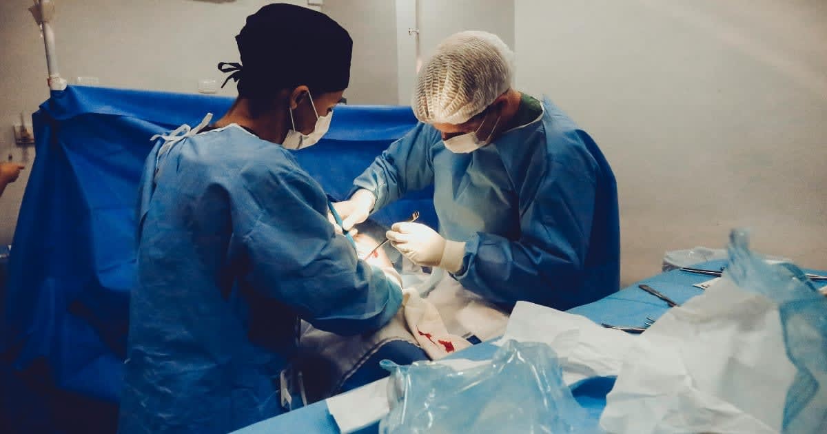 Representative Image Source: Pexels I Photo by Vidal Balielo Jr