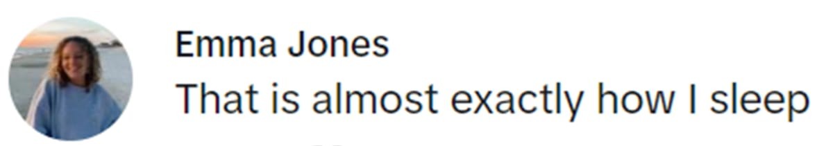 Image Source: TikTok | @ramennoodlehead2.0