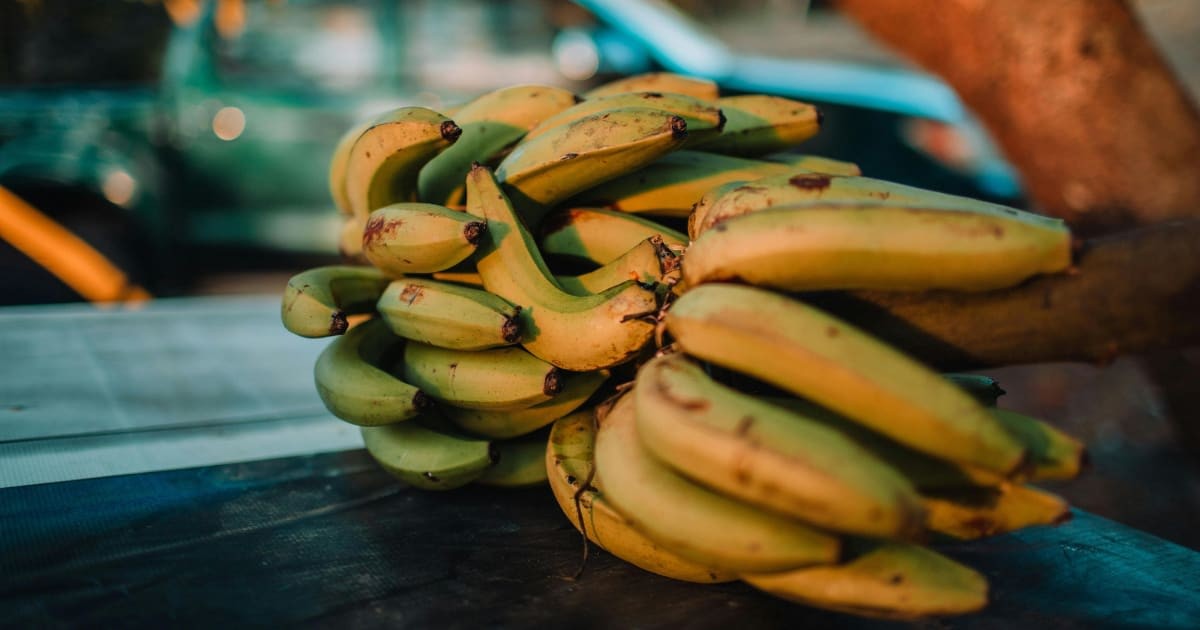 Representative Image Source: Pexels I Photo by Luis Quintero