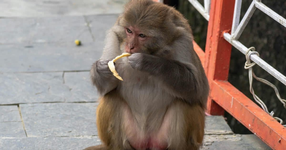 Representative Image Source: Pexels I Photo by  Rajesh S Balouria