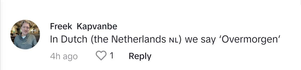 Image Source: TikTok I @FreekKapvanbe