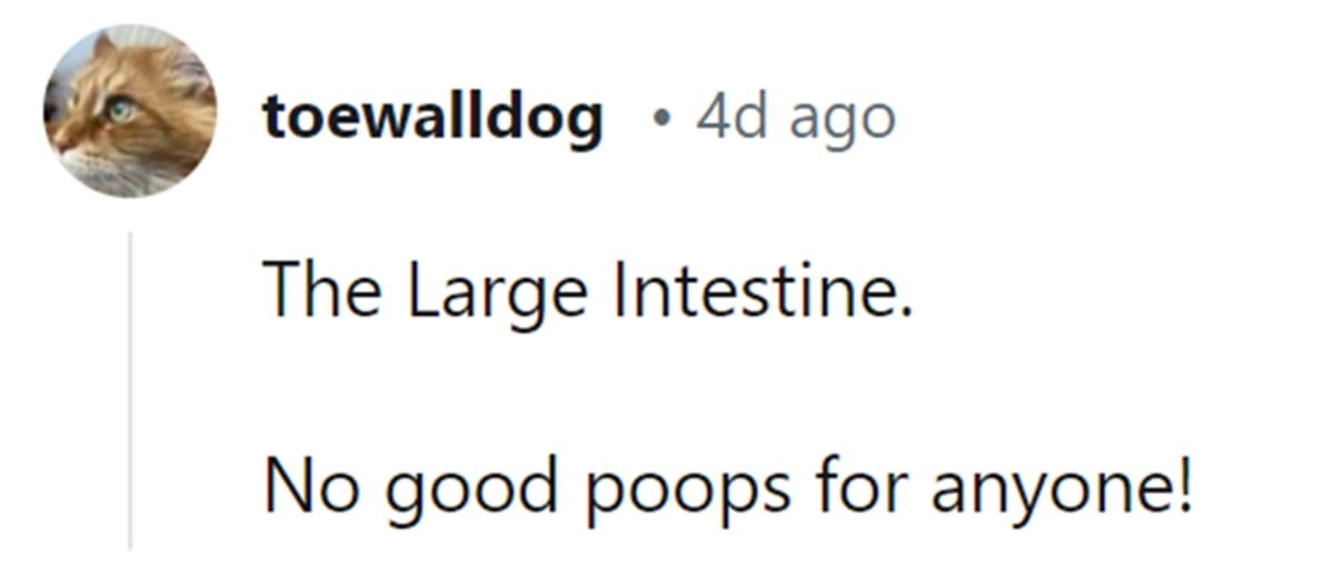 Image Source: Reddit | u/toewalldog