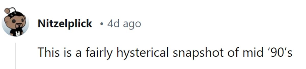 Image Source: Reddit | u/nitzelplick