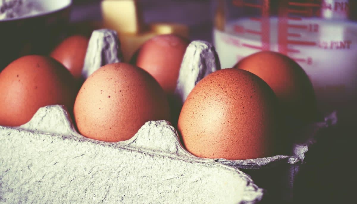 Representative Image Source: Pexels | suzyhazelwood