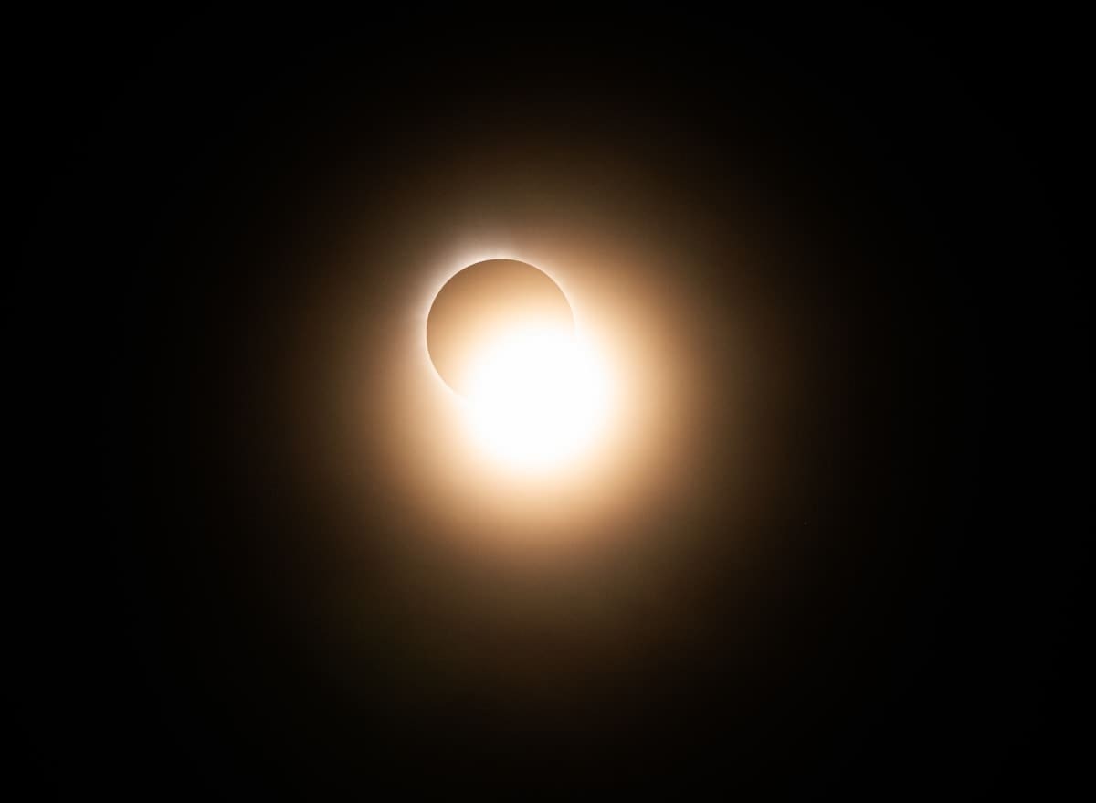 Image Source: The