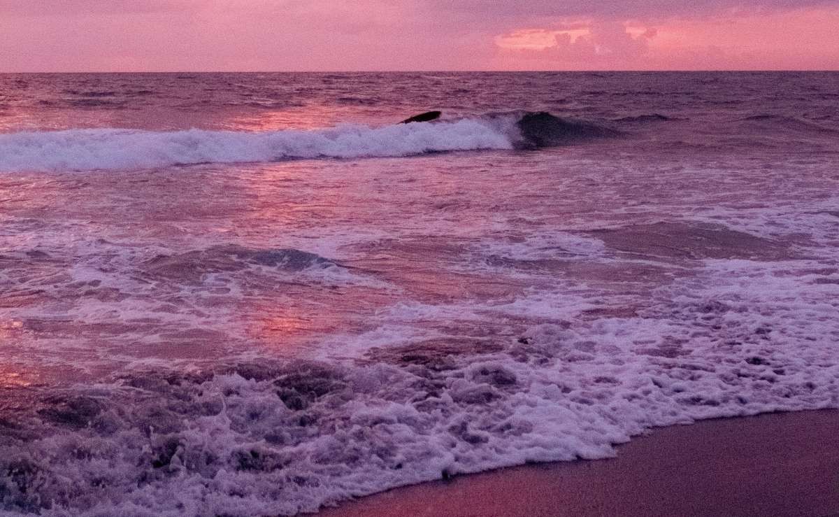 Representative Image Source: Pexels | Shvetsa