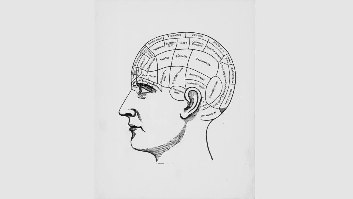 Representative Image Source: Illustration of a human cranium, depicting the sections of the brain responsible for different functions of thought including; time,hope and imitation. (Photo by Pictorial Parade/Archive Photos/Getty Images)