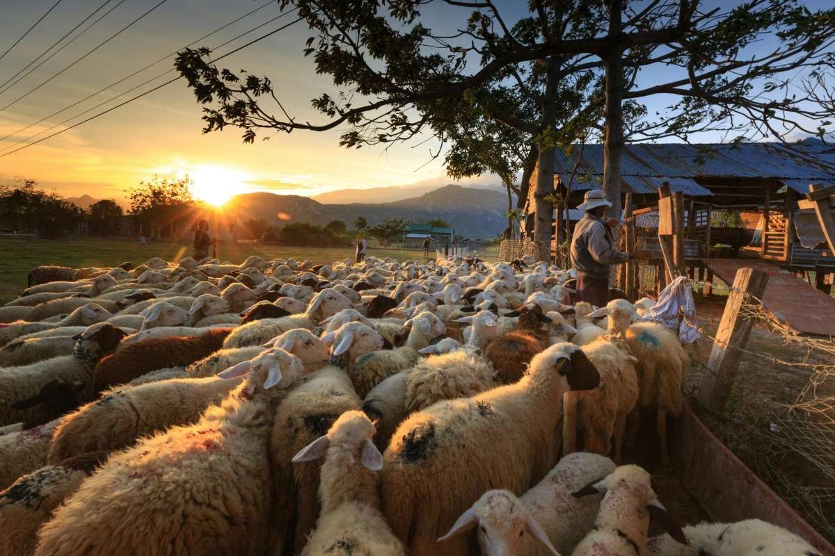 Representative Image Source: Pexels | Quang Nguyen Vinh