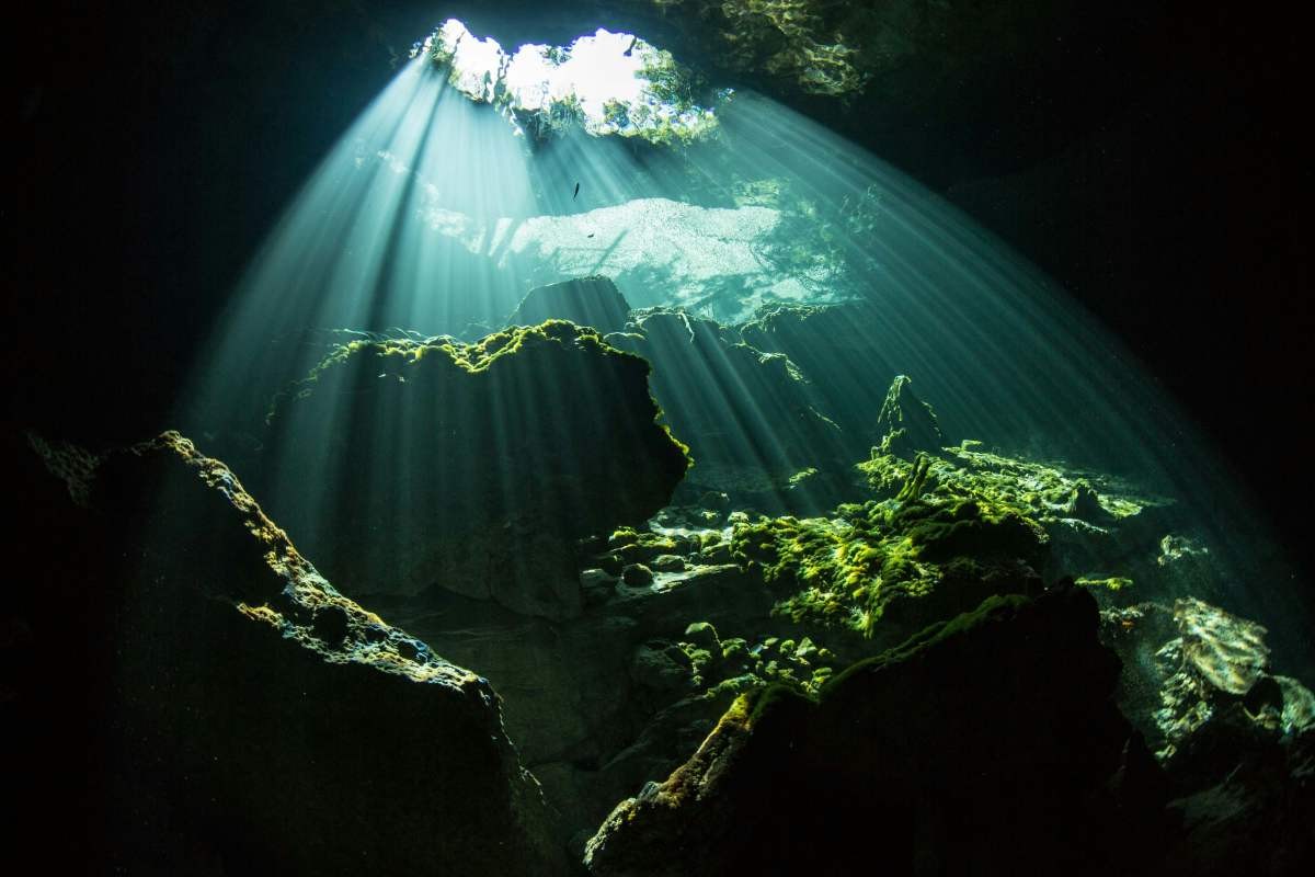 Representative Image Source: Unsplash | Alex Rose