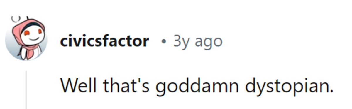 Image Source: Reddit | u/civicsfactor