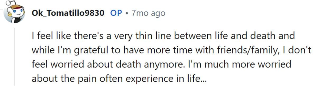 Image Source: Reddit | u/OK_Tomatillo9830