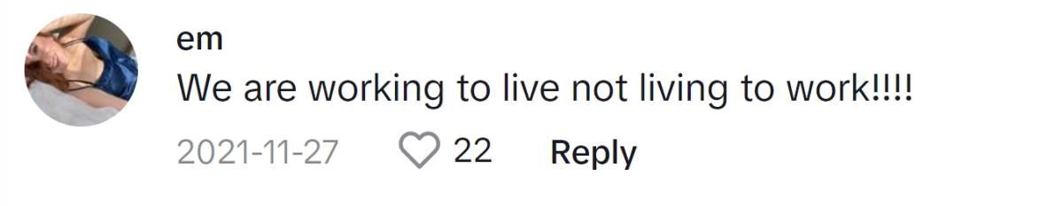 Image Source: TikTok|@emileebemilee