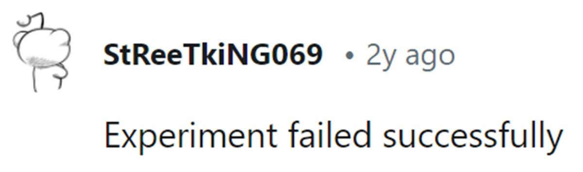 Image Source: Reddit | u/streetking069