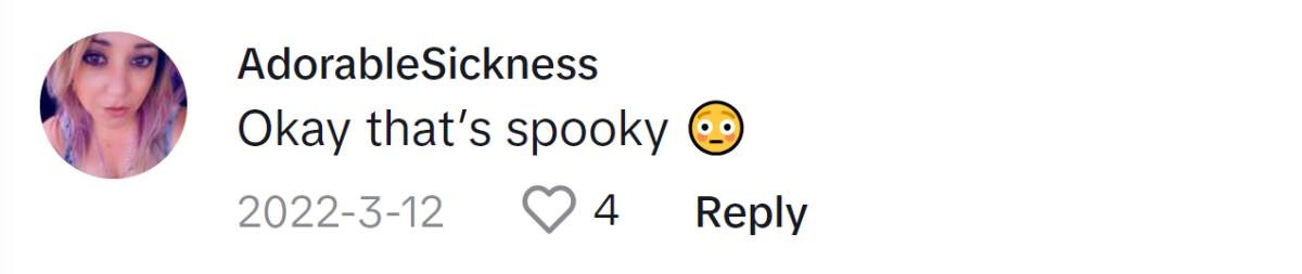 Image Source: TikTok|@adorablesickness