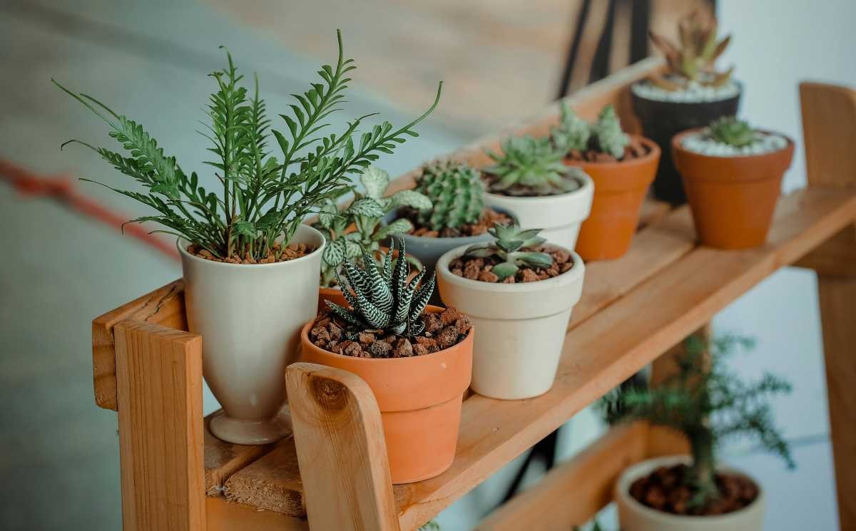 Representative Image Source: Pexels | Minan1398