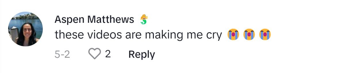 Image Source: TikTok I @ravenhair0804