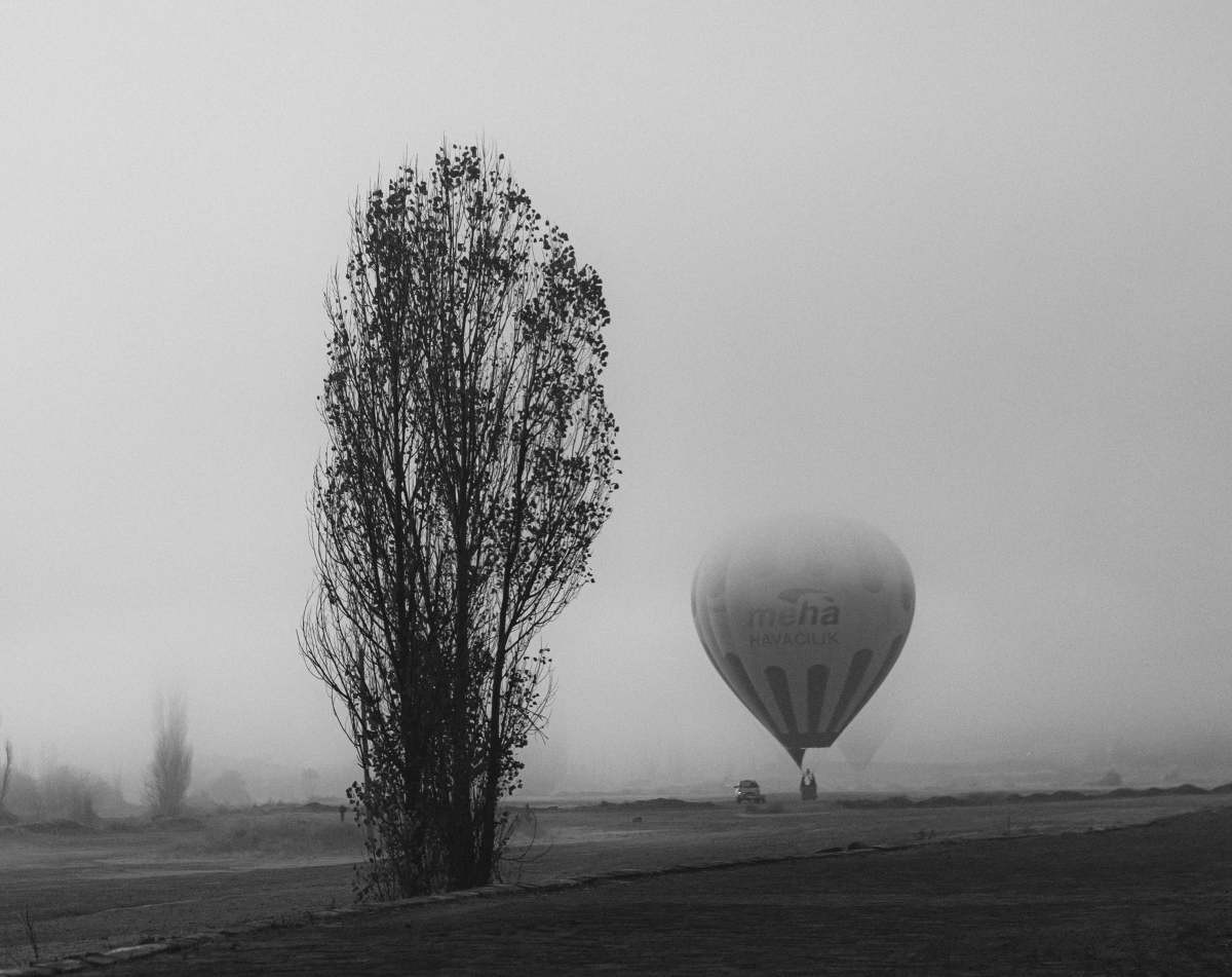 Representative Image Source: Pexels | Tolgaa Slanturk