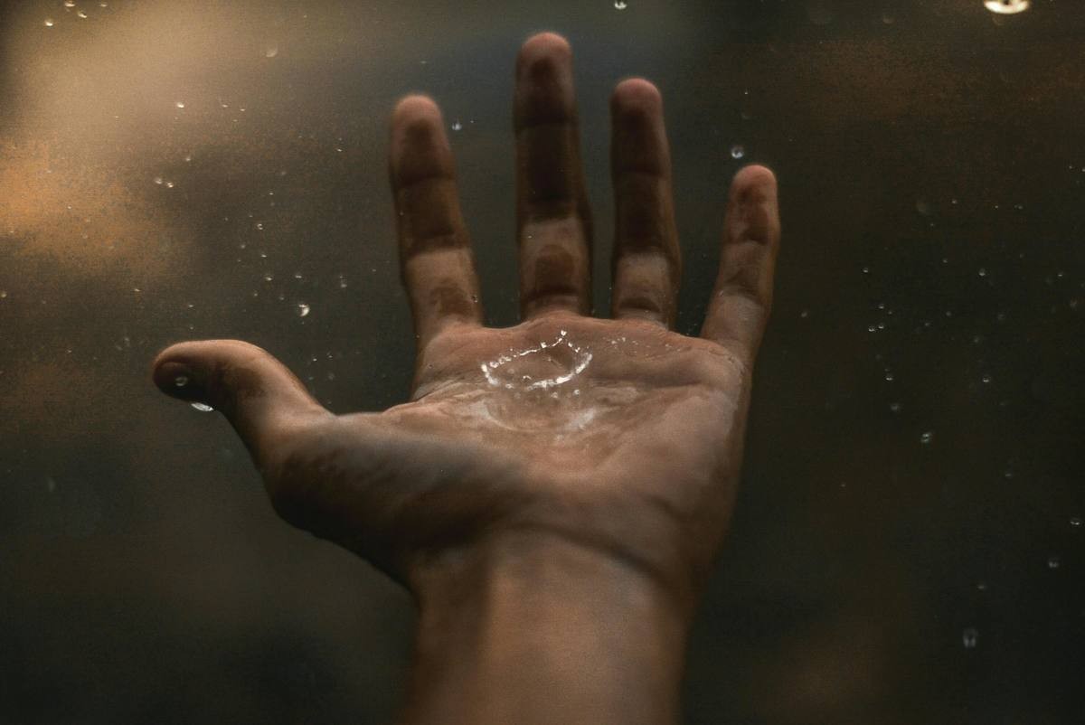 Representative Image Source: Pexels| Fabiano Rodrigues