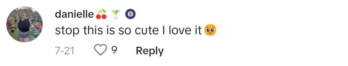 Image Source: TikTok |