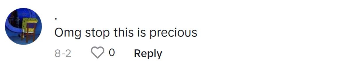 Image Source: TikTok |