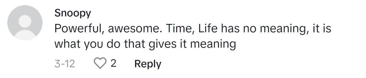 Image Source: TikTok|@snoopy