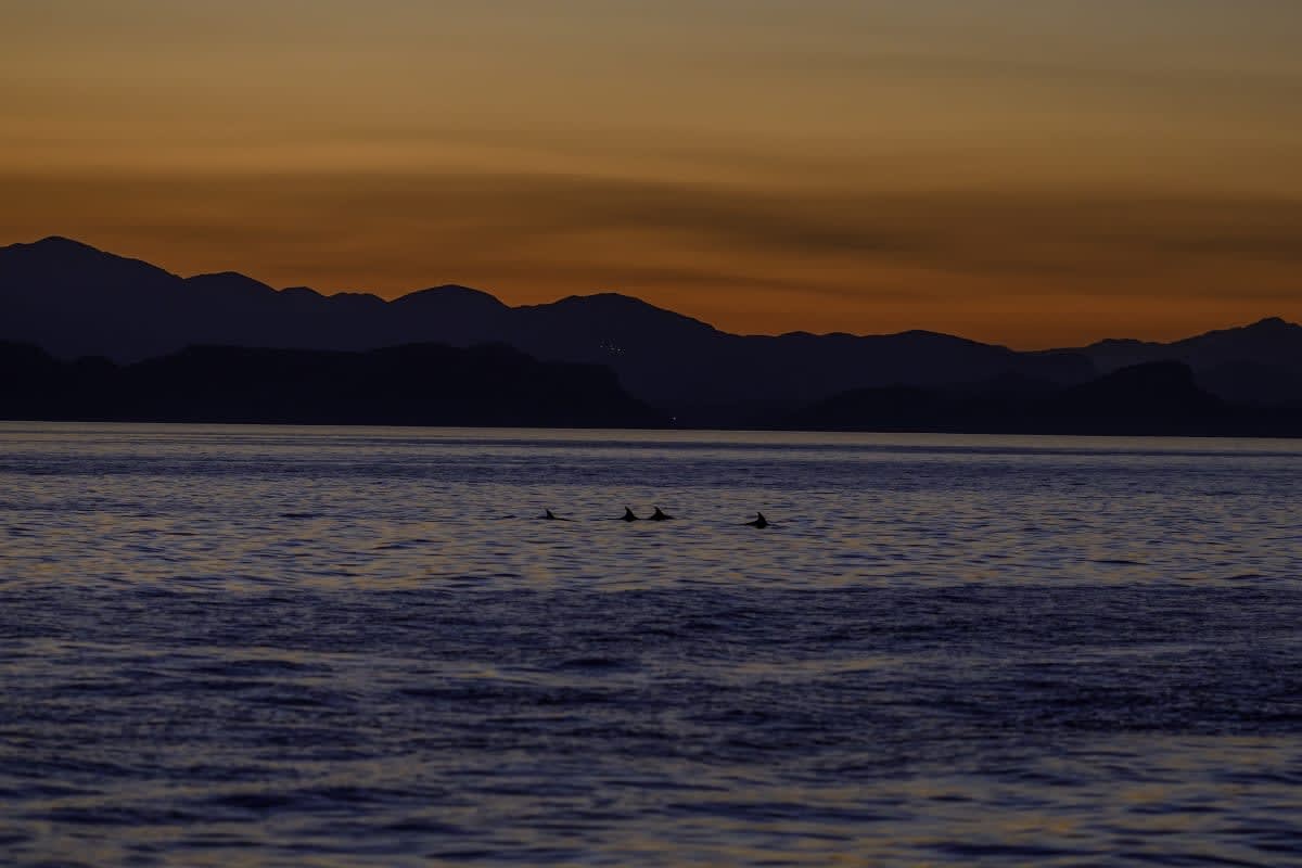 Image Source: Adriatic Sea (Photo by Damir Sagolj/Getty Images)