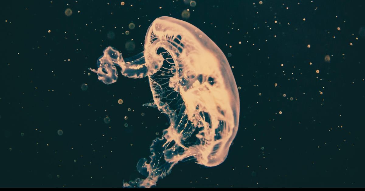 Representative Image Source: Pexels | Philipp Deus