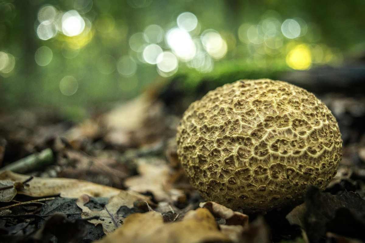 Representative Image Source: Pexels | Luc Waumans