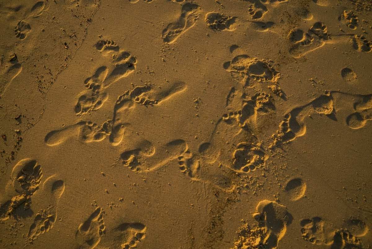 Representative Image Source: Pexels | Wendy Wei