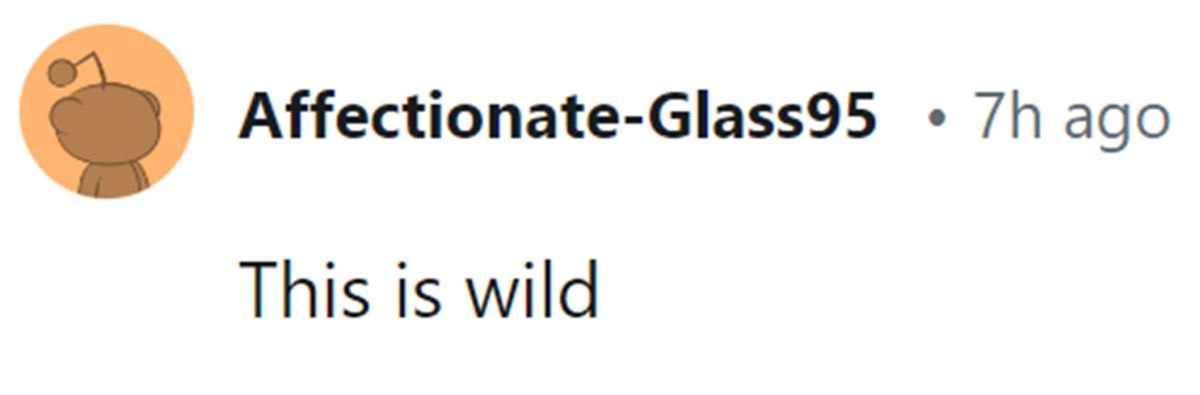 Image Source: Reddit | u/affectionate-glass95