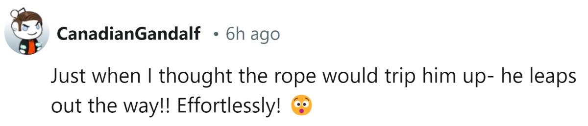 Image Source: Reddit | u/canadiangandalf