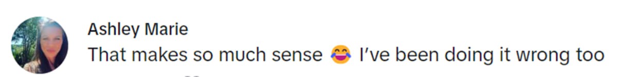 Image Source: TikTok | @ashleymarie1384