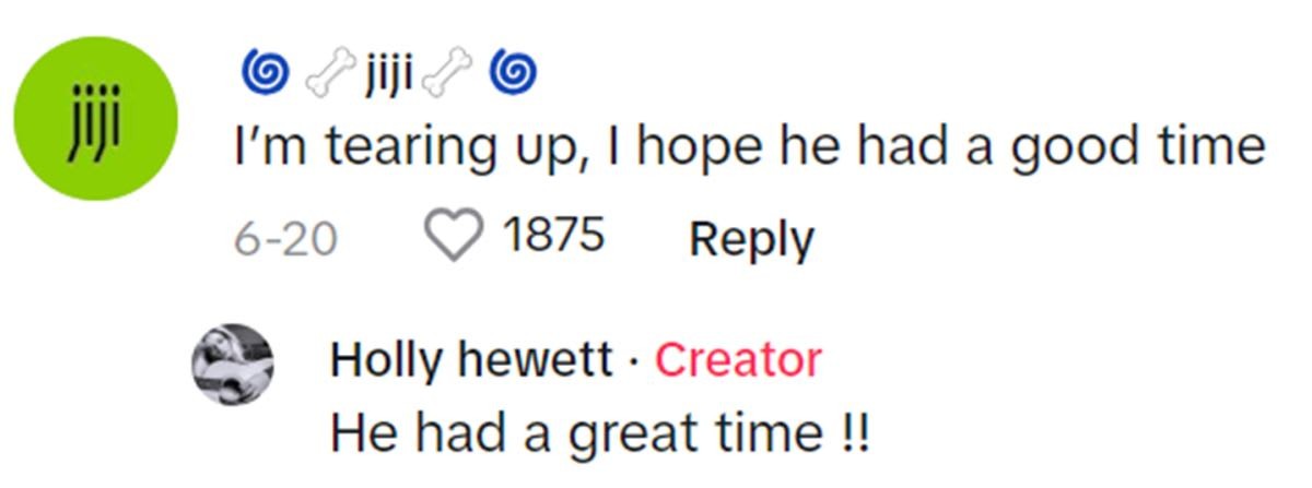 Image Source: TikTok | @lay.vayforeva