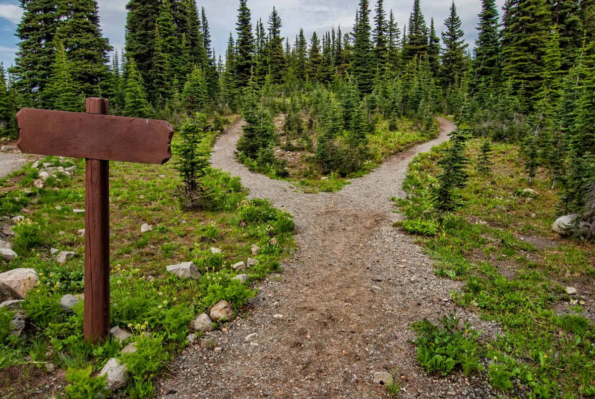 Representative Cover Image Source: Pexels| James Wheeler