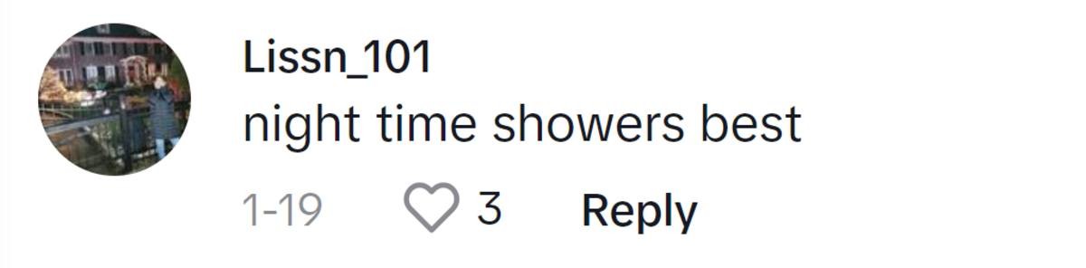 Image Source: TikTok| @Liss_n101