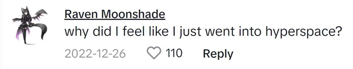 Image Source: TikTok|@ravenmoonshade