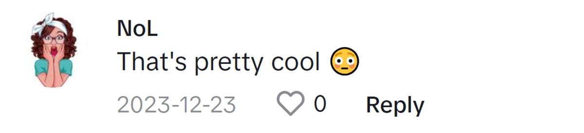 Image Source: TikTok| @e_v_e__