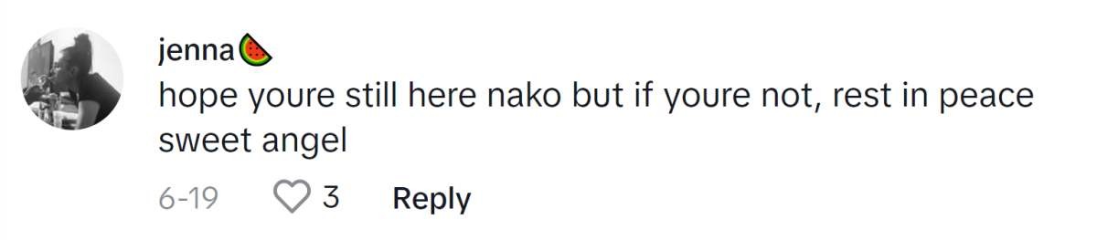 Image Source: TikTok|@withluv_jj