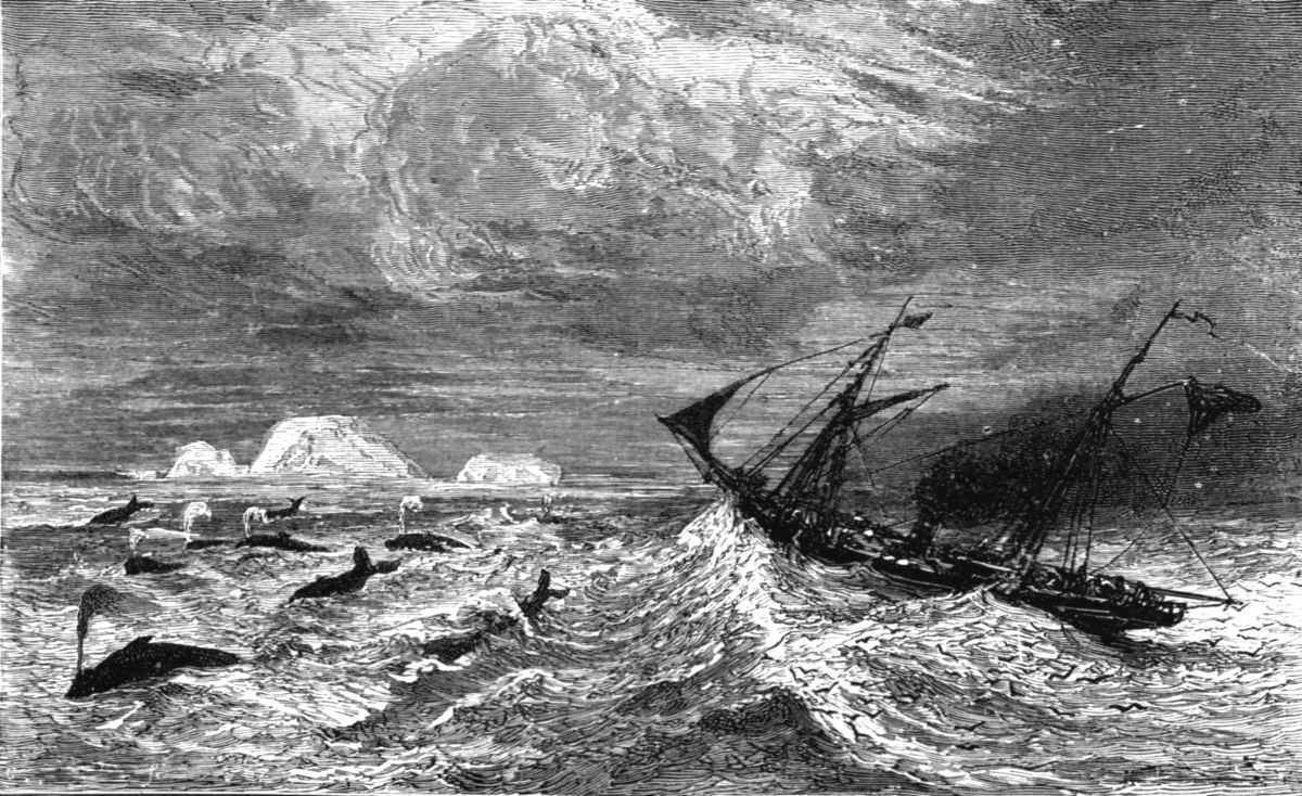 Representative Image Source: A Boat adventure in the Behring's Sea', 1875 (Photo by The Print Collector/Heritage Images via Getty Images)