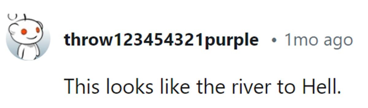 Image Source: Reddit | u/throw123454321purple