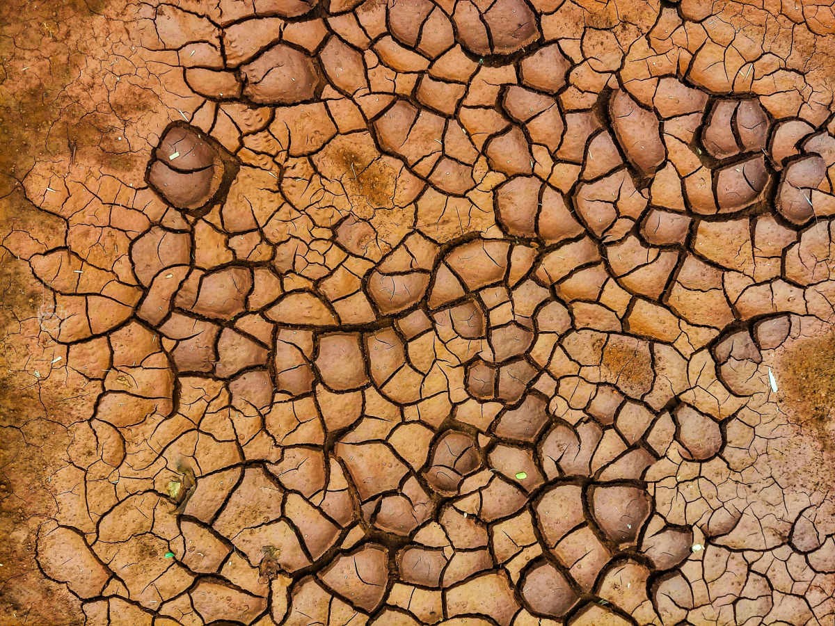 Representative Image Source: Pexels | Deyan Art