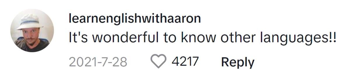 Image Source: TikTok|@learnenglishwithaaron