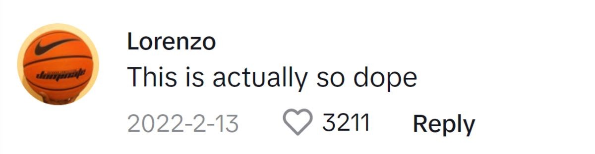 Image Source: TikTok| @lorenzo97