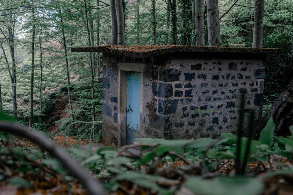 Representative Image Source: Pexels | Eren Anci