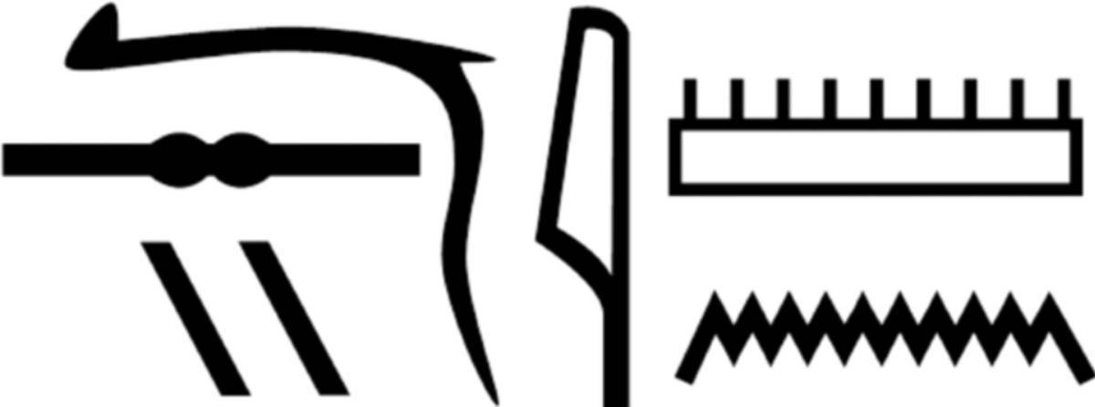 Image Source: Nesyamun's name in hieroglyphs as shown in his coffin inscriptions (Scientific Reports)